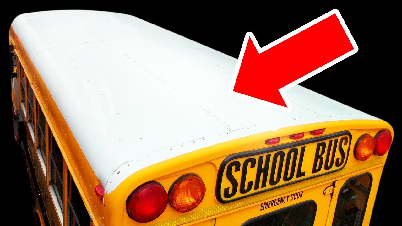 Why School Buses Always Have White Roofs