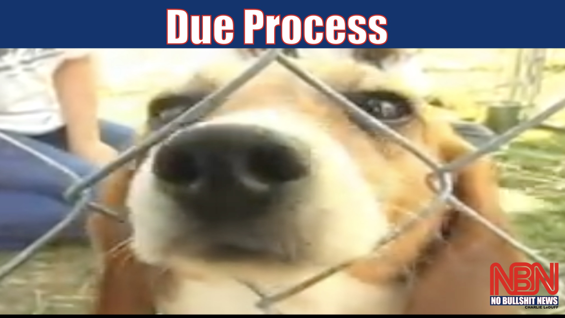 Due Process