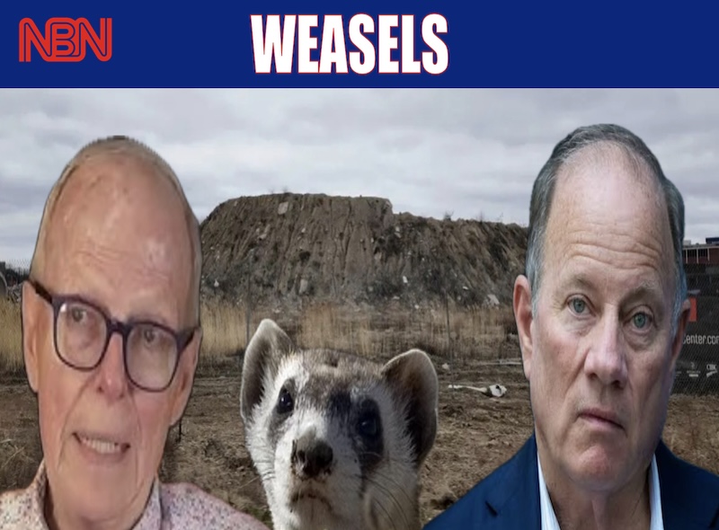 WEASELS